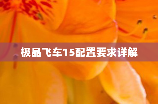 极品飞车15配置要求详解
