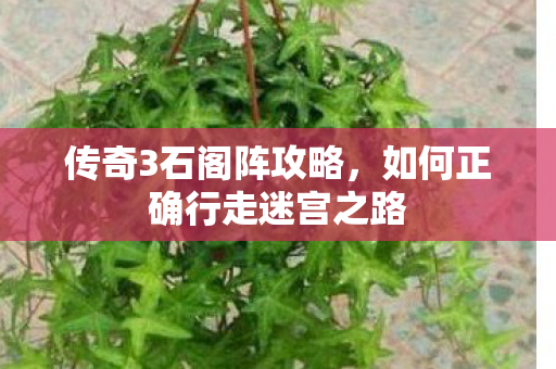 传奇3石阁阵攻略,如何正确行走迷宫之路 传奇3石阁阵攻略,如何正确行走迷宫之路