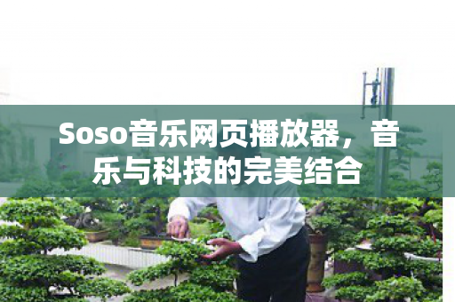 Soso音乐网页播放器，音乐与科技的完美结合
