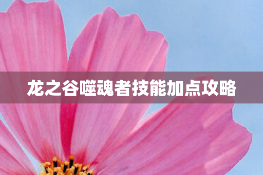 龙之谷噬魂者技能加点攻略