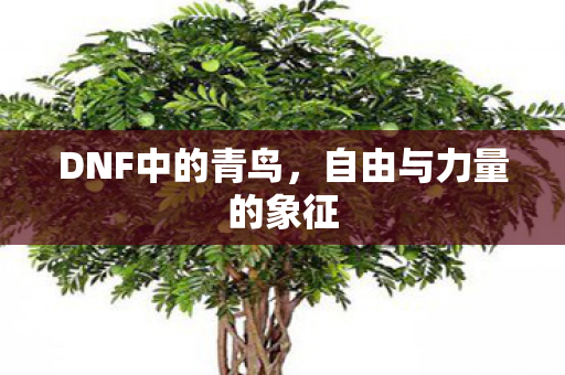 DNF中的青鸟,自由与力量的象征 DNF中的青鸟,自由与力量的象征
