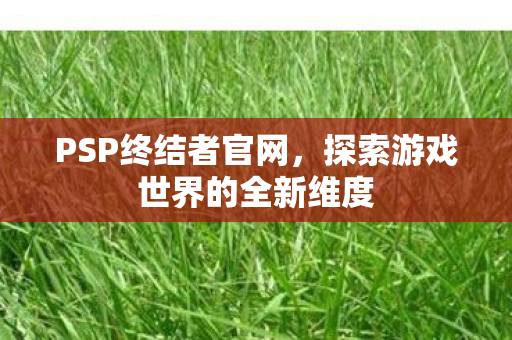 PSP终结者官网，探索游戏世界的全新维度