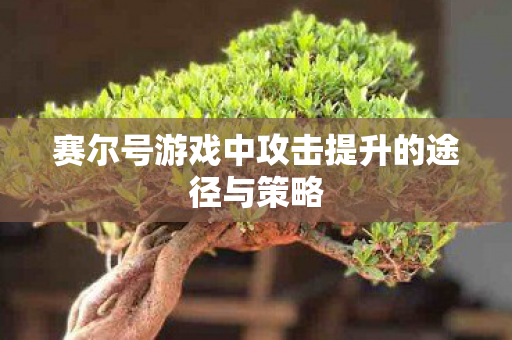 赛尔号游戏中攻击提升的途径与策略