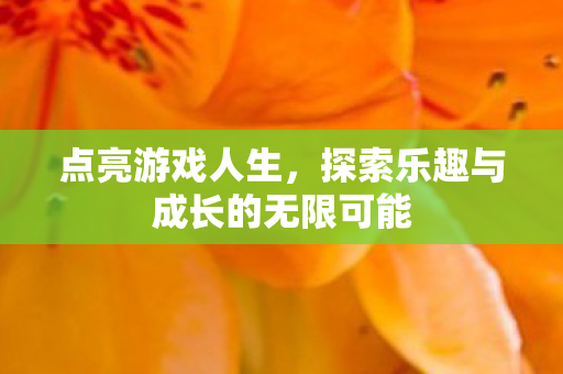 点亮游戏人生，探索乐趣与成长的无限可能
