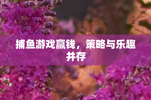捕鱼游戏赢钱，策略与乐趣并存