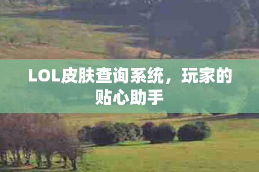 LOL皮肤查询系统，玩家的贴心助手