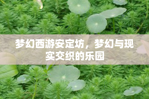 梦幻西游安定坊，梦幻与现实交织的乐园