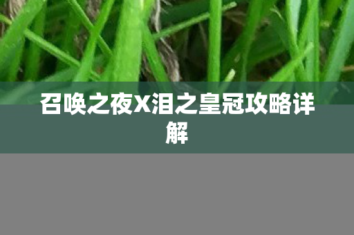 召唤之夜X泪之皇冠攻略详解
