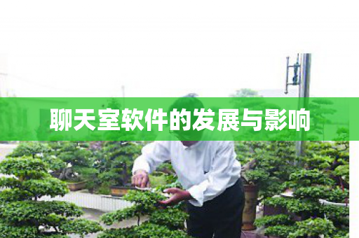 聊天室软件的发展与影响