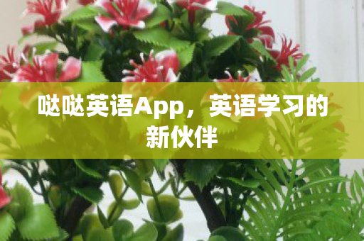 哒哒英语App，英语学习的新伙伴