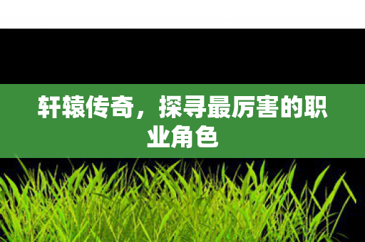 轩辕传奇,探寻最厉害的职业角色 轩辕传奇,探寻最厉害的职业角色