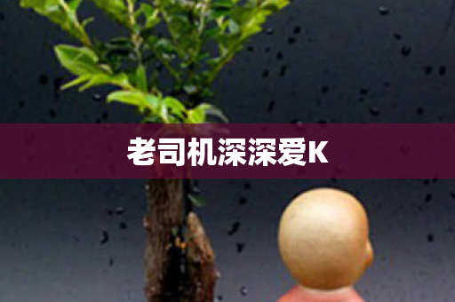 老司机深深爱K