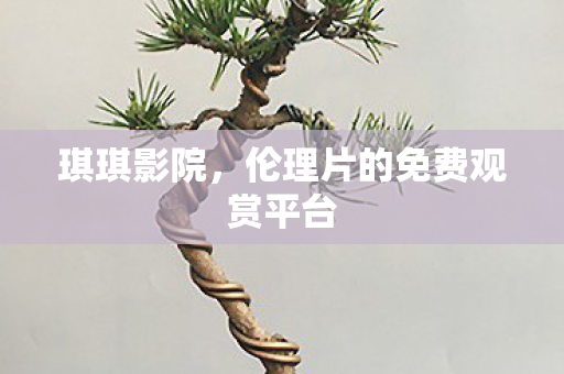 琪琪影院，伦理片的免费观赏平台