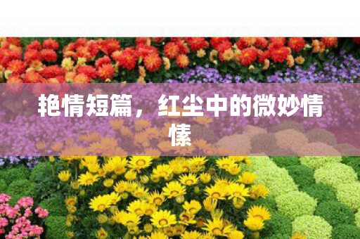 艳情短篇，红尘中的微妙情愫