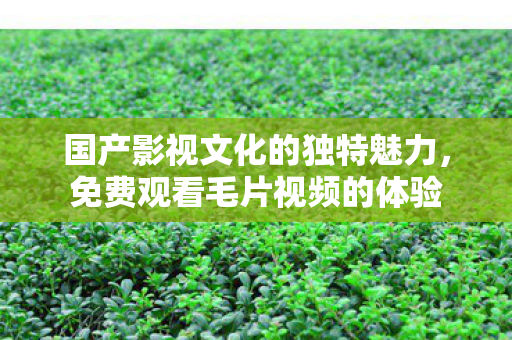 国产影视文化的独特魅力，免费观看毛片视频的体验