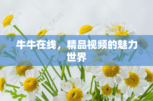 牛牛在线，精品视频的魅力世界