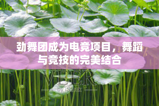 劲舞团成为电竞项目,舞蹈与竞技的完美结合 劲舞团成为电竞项目,舞蹈与竞技的完美结合