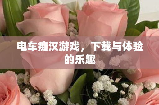 电车痴汉游戏，下载与体验的乐趣