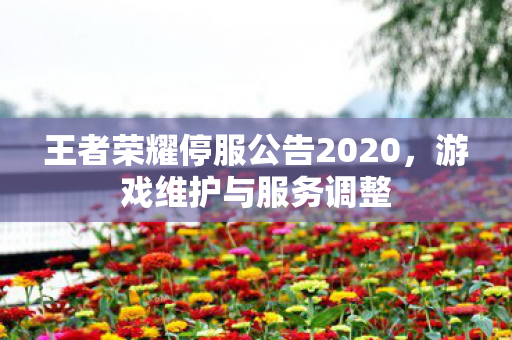 王者荣耀停服公告2020，游戏维护与服务调整
