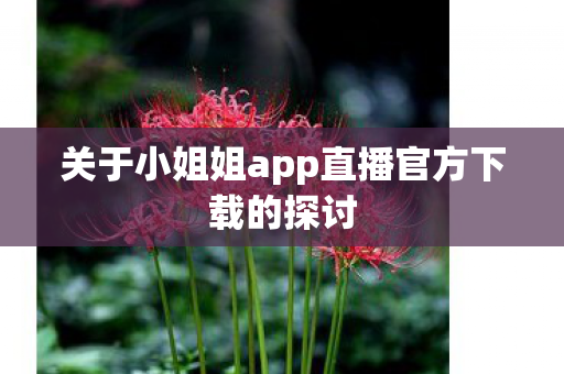 关于小姐姐app直播官方下载的探讨
