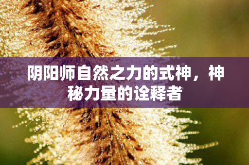 阴阳师自然之力的式神，神秘力量的诠释者