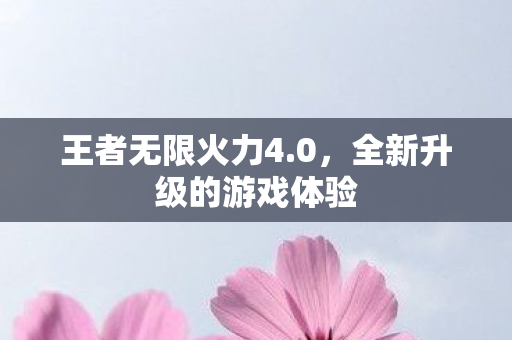 王者无限火力4.0，全新升级的游戏体验
