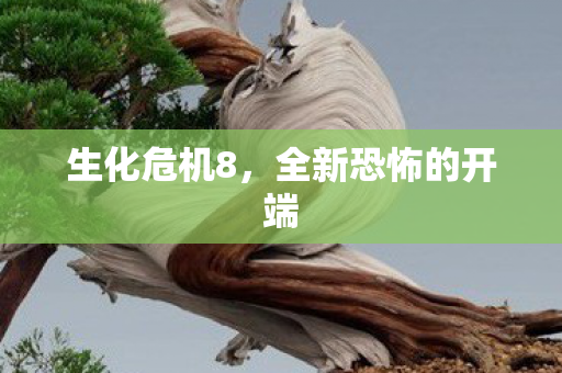 生化危机8,全新恐怖的开端 生化危机8,全新恐怖的开端