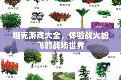坦克游戏大全，体验战火纷飞的战场世界