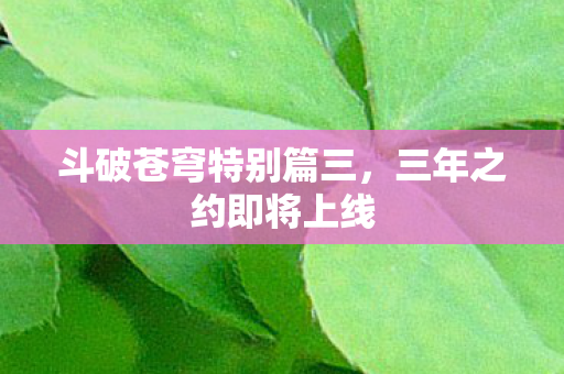 斗破苍穹特别篇三，三年之约即将上线