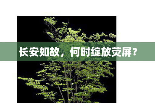 长安如故，何时绽放荧屏？