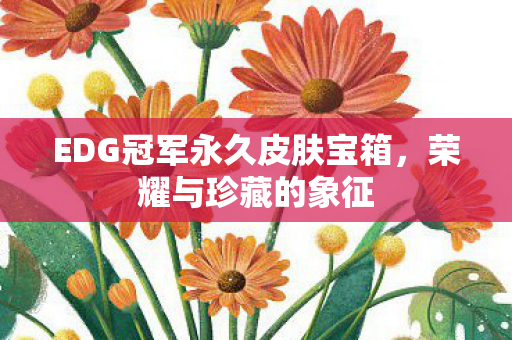 EDG冠军永久皮肤宝箱，荣耀与珍藏的象征