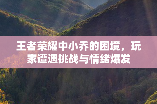 王者荣耀中小乔的困境，玩家遭遇挑战与情绪爆发