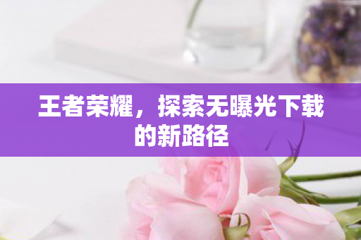 王者荣耀，探索无曝光下载的新路径