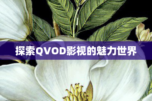 探索QVOD影视的魅力世界