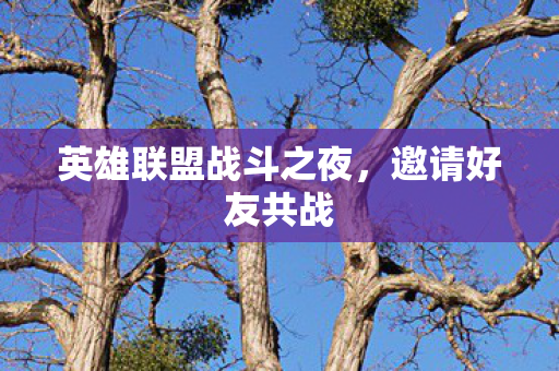 英雄联盟战斗之夜，邀请好友共战