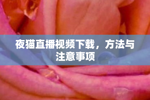 夜猫直播视频下载，方法与注意事项
