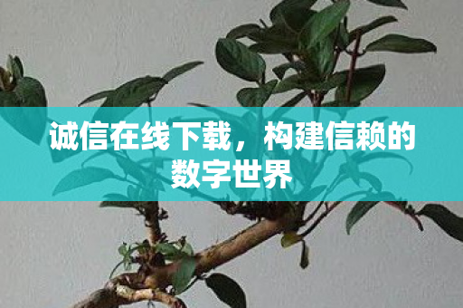诚信在线下载，构建信赖的数字世界