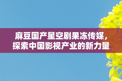 麻豆国产星空剧果冻传媒，探索中国影视产业的新力量