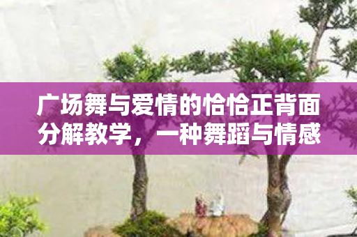 广场舞与爱情的恰恰正背面分解教学，一种舞蹈与情感的交融艺术