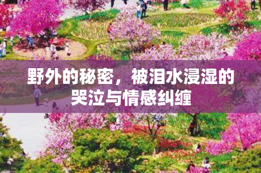 野外的秘密，被泪水浸湿的哭泣与情感纠缠
