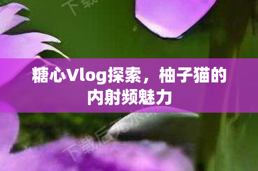 糖心Vlog探索，柚子猫的内射频魅力