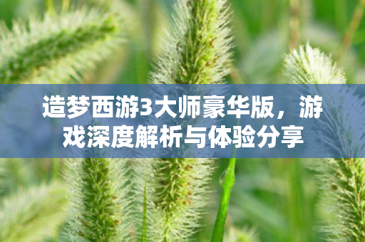 造梦西游3大师豪华版，游戏深度解析与体验分享