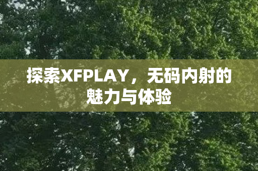 探索XFPLAY,无码内射的魅力与体验 探索XFPLAY,无码内射的魅力与体验