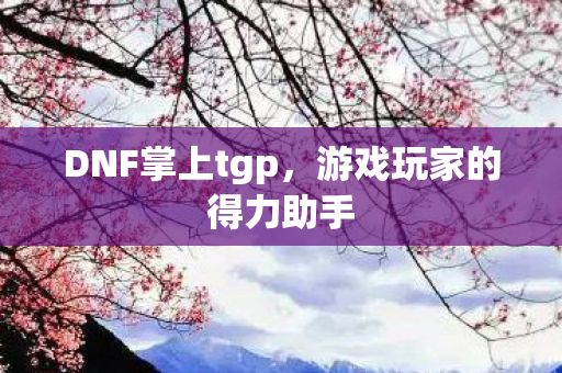 DNF掌上tgp，游戏玩家的得力助手