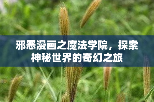邪恶漫画之魔法学院，探索神秘世界的奇幻之旅