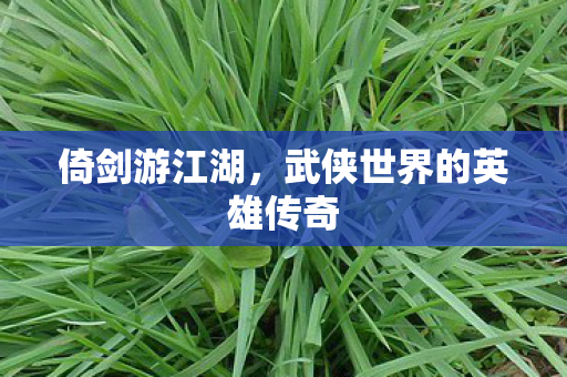 倚剑游江湖，武侠世界的英雄传奇