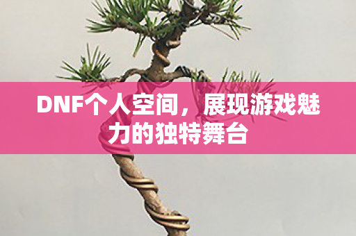 DNF个人空间，展现游戏魅力的独特舞台