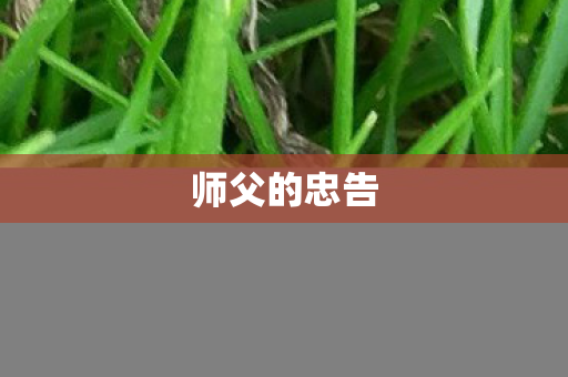 师父的忠告