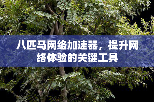 八匹马网络加速器，提升网络体验的关键工具