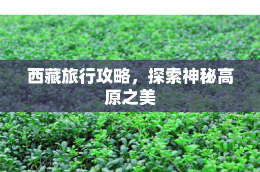 西藏旅行攻略，探索神秘高原之美